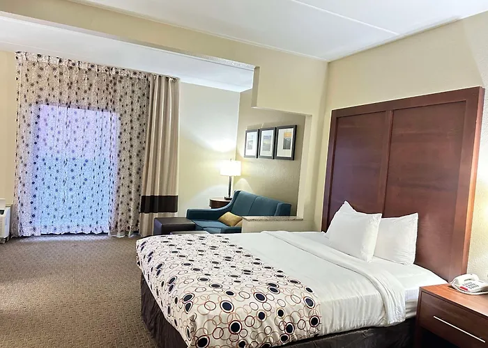 Vista Suites Hotel Near Island Drive And Convention Center